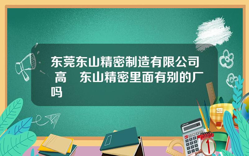 东莞东山精密制造有限公司 高埗东山精密里面有别的厂吗